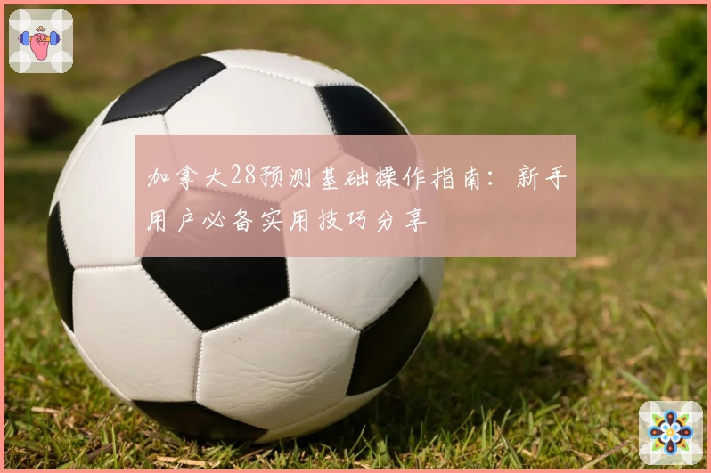 加拿大28预测基础操作指南：新手用户必备实用技巧分享