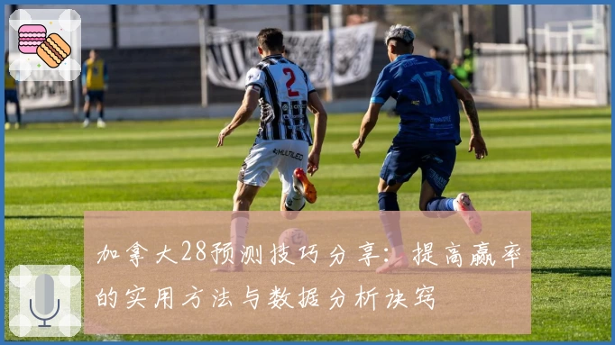 加拿大28预测技巧分享：提高赢率的实用方法与数据分析诀窍