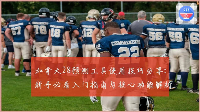 加拿大28预测工具使用技巧分享：新手必看入门指南与核心功能解析