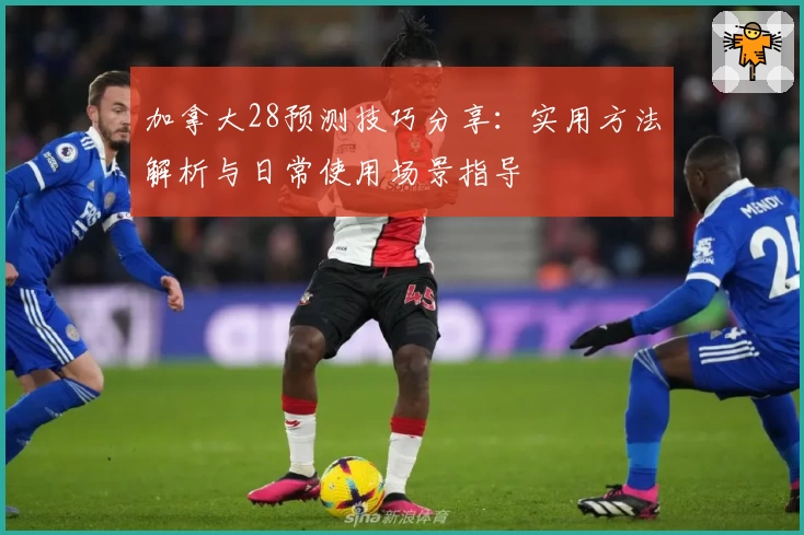 加拿大28预测技巧分享：实用方法解析与日常使用场景指导