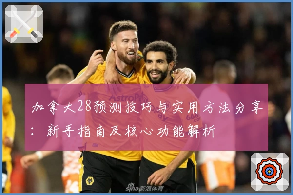 加拿大28预测技巧与实用方法分享：新手指南及核心功能解析