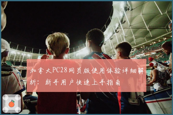 加拿大PC28网页版使用体验详细解析：新手用户快速上手指南