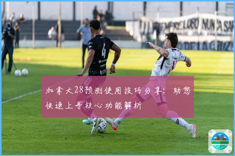 加拿大28预测使用技巧分享：助您快速上手核心功能解析