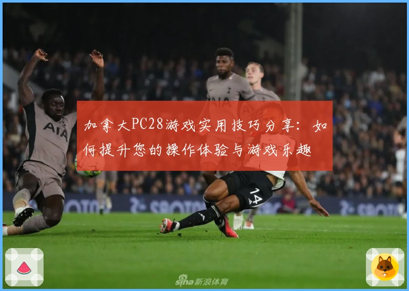 加拿大PC28游戏实用技巧分享：如何提升您的操作体验与游戏乐趣
