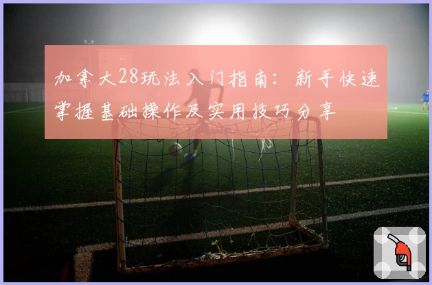 加拿大28玩法入门指南：新手快速掌握基础操作及实用技巧分享